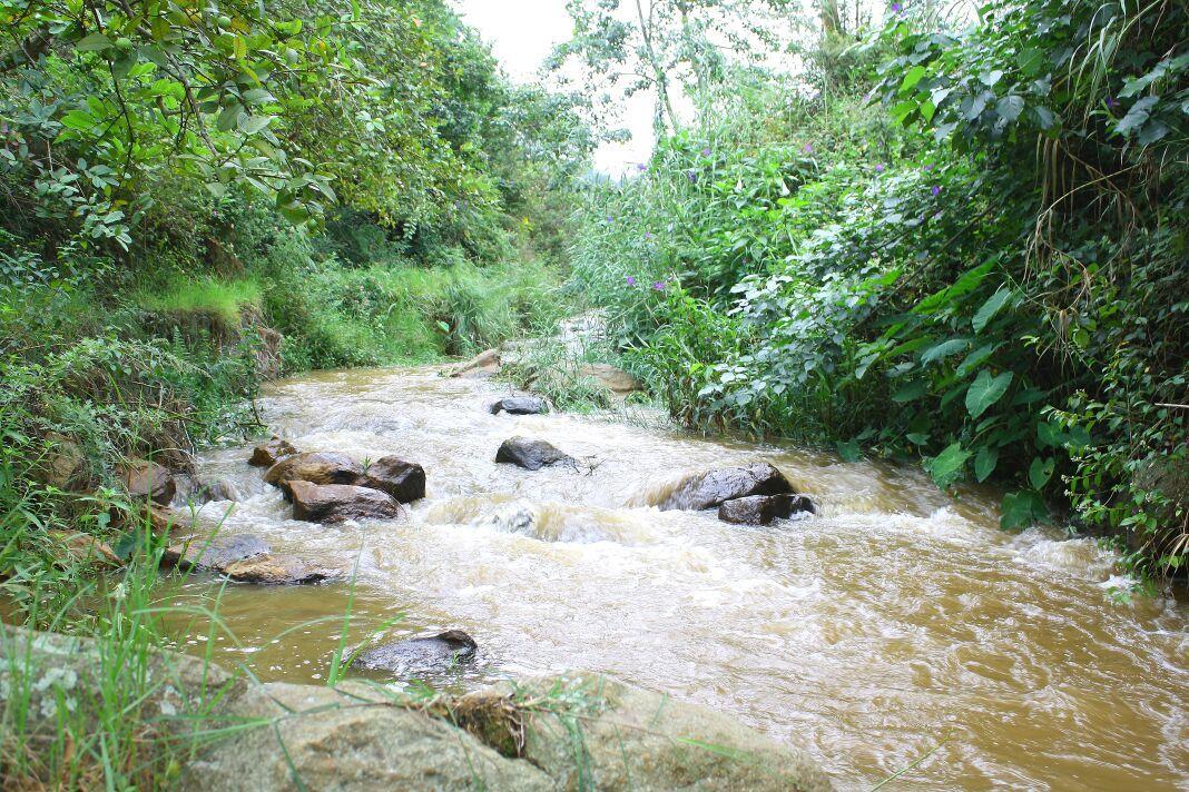 Rustling River Resort อูตี ภายนอก รูปภาพ
